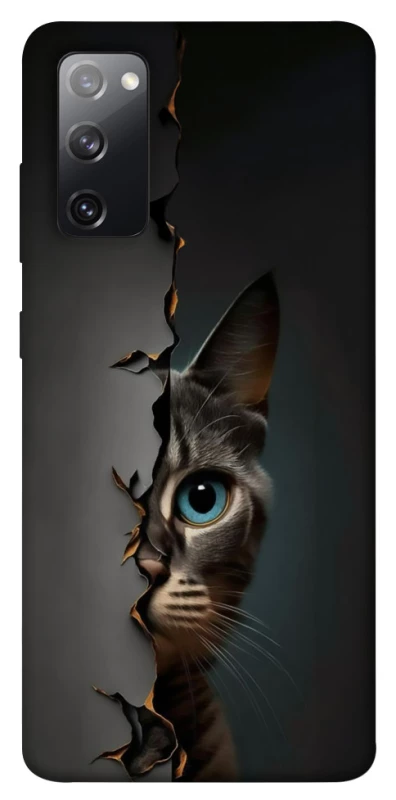 Чохол на Samsung Galaxy S20 FE Кіт-підглядач v2 фото 1 з 1