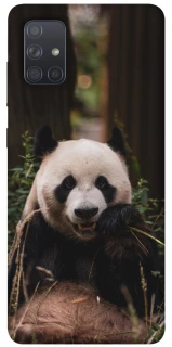 Чехол на Samsung Galaxy A71 Панда фото 1 из 1