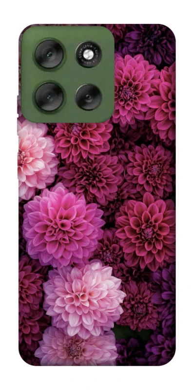 Чохол на Motorola Moto G56 5G Garden1 фото 1 з 1