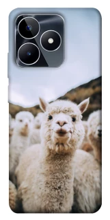 Чохол на Realme C53 Лама фото 1 з 1