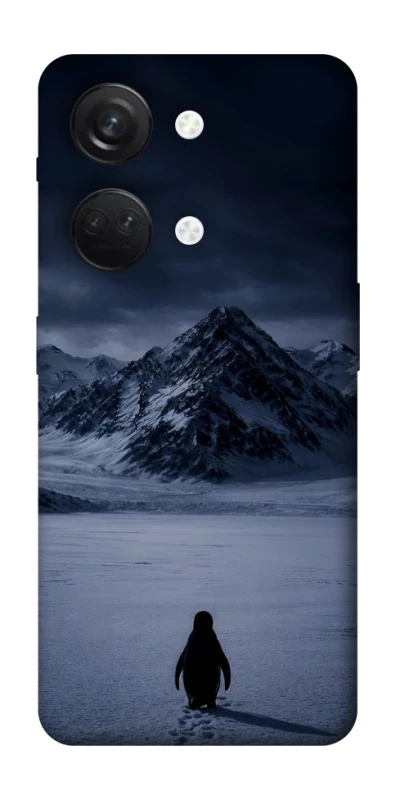 Чехол на OnePlus Nord 3 But why? фото 1 из 1