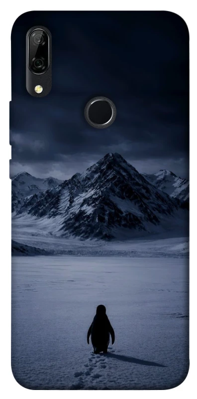 Чохол на Huawei P Smart Z But why? фото 1 з 1