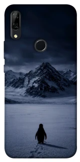 Чехол на Huawei P Smart Z But why? фото 1 из 1