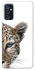 Чехол на Samsung Galaxy M52 Leopard Art v2 фото 1 из 1