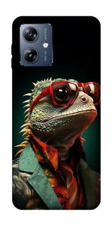 Чехол на Motorola Moto G54 Power Игуана фото 1 из 1