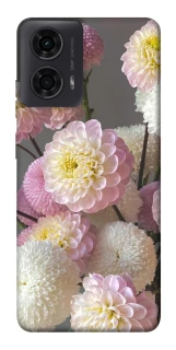 Чохол на Motorola Moto G24 Flowers v2 фото 1 з 1