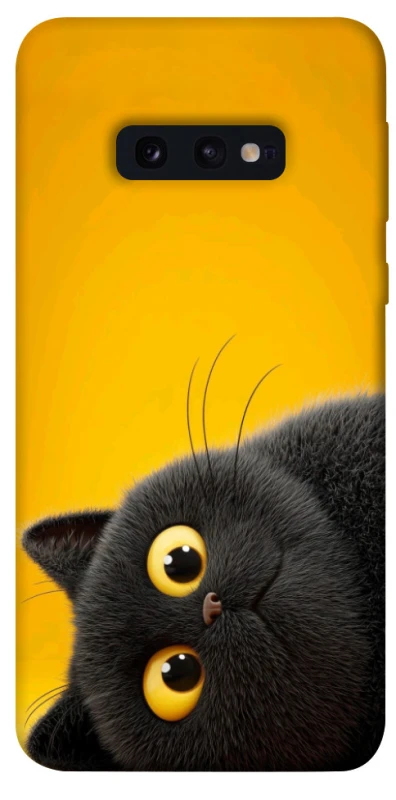 Чохол на Samsung Galaxy S10e This is Cat фото 1 з 1