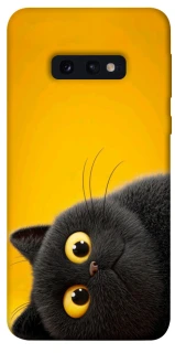Чохол на Samsung Galaxy S10e This is Cat фото 1 з 1
