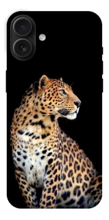 Чохол на Apple iPhone 16 Plus Leopard v2 фото 1 з 1