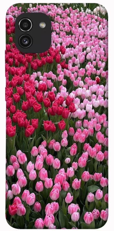 Чехол на Samsung Galaxy A03 Flowers v9 фото 1 из 1