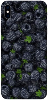 Чохол на Apple iPhone XS Max (6.5") Fresh фото 1 з 1