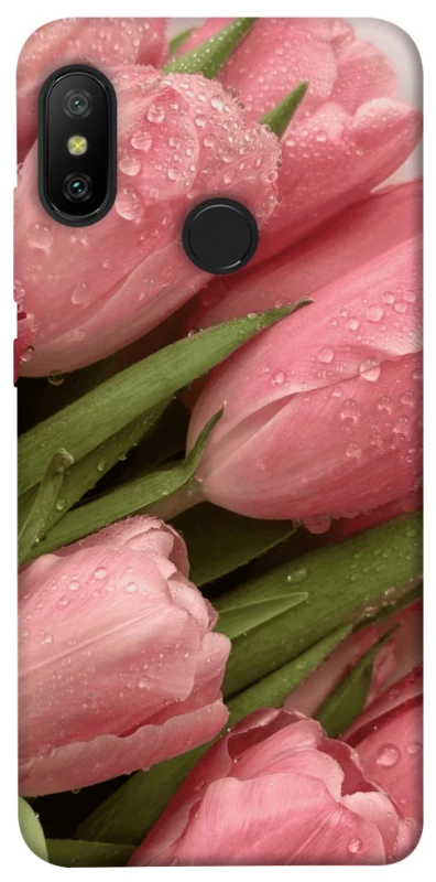 Чохол на Xiaomi Mi A2 Lite / Xiaomi Redmi 6 Pro Beauty фото 1 з 1