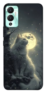 Чехол на Infinix Hot 12 Play Кот под луной фото 1 из 1