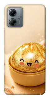 Чехол на Motorola Moto G14 Dumpling ver.6 фото 1 из 1