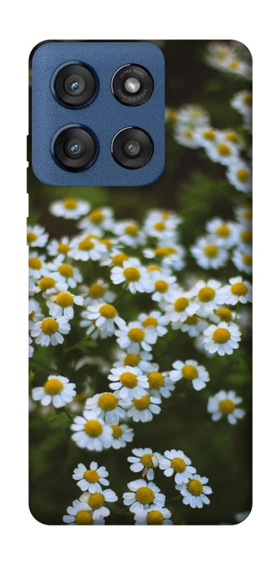 Чехол на Motorola Edge 60 Stylus Ромашки v13 фото 1 из 1