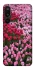Чохол на Samsung Galaxy M16 5G Flowers v9 фото 1 з 1