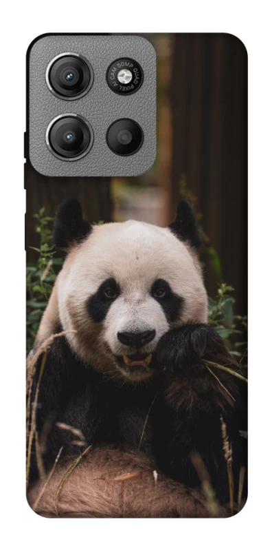 Чехол на Motorola Moto G15 4G Панда фото 1 из 1