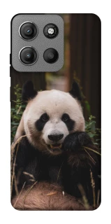 Чехол на Motorola Moto G15 4G Панда фото 1 из 1