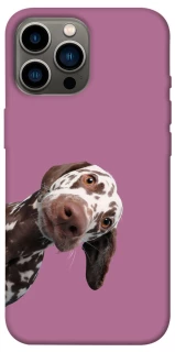 Чохол на Apple iPhone 13 Pro Max (6.7") А що тут фото 1 з 1