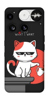 Чехол на Nothing Phone (3) I do what i wont фото 1 Чехол на Nothing Phone (3) I do what i wont фото 1 из 1