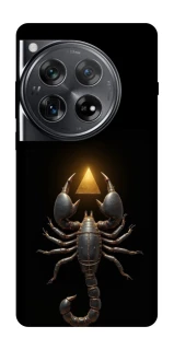 Чехол на OnePlus 12 Scorpio with Golden Triangle фото 1 из 1