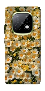 Чохол на Realme Narzo 70 Turbo Camomile фото 1 з 1