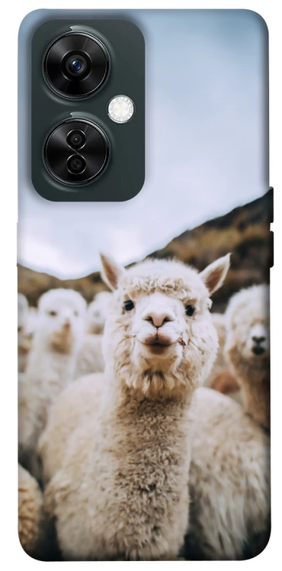 Чехол на OnePlus Nord CE 3 Lite Лама фото 1 из 1
