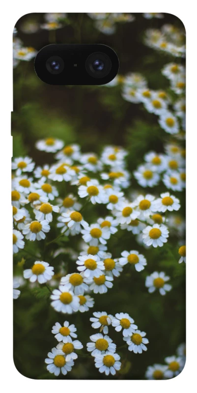 Чехол на Google Pixel 8 Ромашки v13 фото 1 из 1
