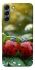 Чохол на Samsung Galaxy S22+ Flowers v23 фото 1 з 1