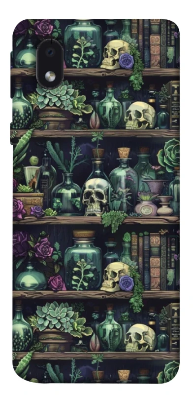 Чохол на Samsung Galaxy M01 Core / A01 Core Bookshelf ver.1 фото 1 з 1