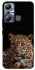 Чехол на Infinix Hot 20i Leopard v4 фото 1 из 1