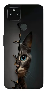 Чехол на Google Pixel 5A Кот-подглядыватель v2 фото 1 из 1