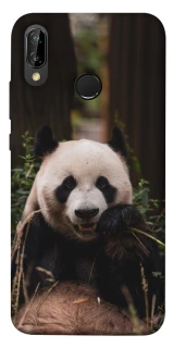 Чохол на Huawei P20 Lite Панда фото 1 Чохол на Huawei P20 Lite Панда фото 1 з 1