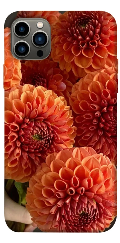 Чохол на Apple iPhone 12 Pro (6.1") Flower1 фото 1 з 1