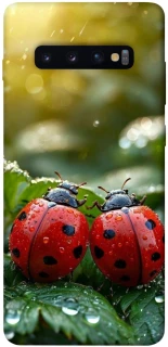 Чохол на Samsung Galaxy S10+ Flowers v23 фото 1 з 1