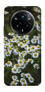 Чехол на Realme 14 Pro+ Ромашки v13 фото 1 из 1