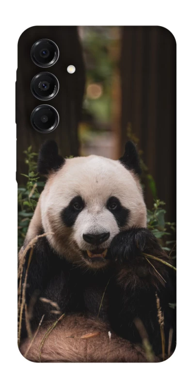 Чехол на Samsung Galaxy A17 4G/5G Панда фото 1 из 1