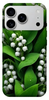 Чохол на Apple iPhone 17 Pro Max (6.9") Flowers v24 фото 1 з 1