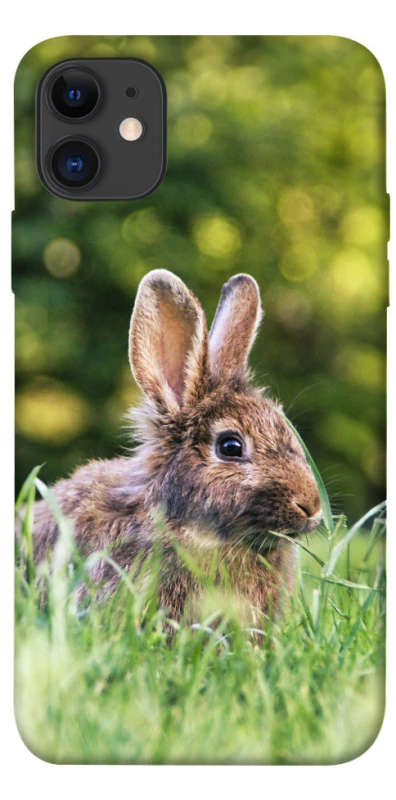 Чохол на Apple iPhone 11 (6.1") Кролики фото 1 з 1