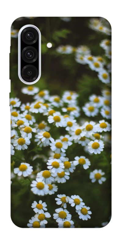 Чохол на Samsung Galaxy A36 5G Ромашки v13 фото 1 з 1