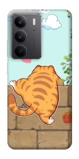 Чохол на Realme C75 Cat the meow фото 1 з 1
