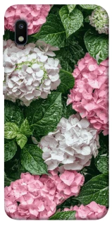 Чохол на Samsung Galaxy A10 (A105F) Secret Garden фото 1 з 1