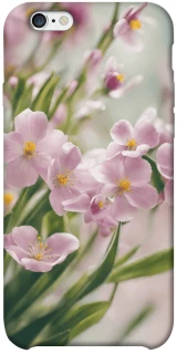 Чехол на Apple iPhone 6/6s plus (5.5") Spring фото 1 из 1