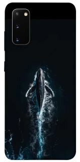 Чохол на Samsung Galaxy S20 Whale фото 1 з 1
