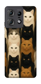 Чехол на Motorola Edge 50 Pro Colorful Cat Collage фото 1 Чехол на Motorola Edge 50 Pro Colorful Cat Collage фото 1 из 1