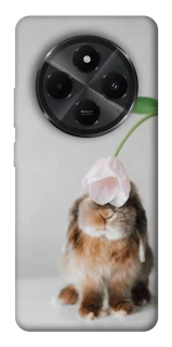 Чохол на Xiaomi Poco M7 Bunny фото 1 з 1