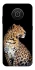 Чохол на Nokia X10 / X20 Leopard v2 фото 1 з 1