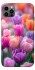 Чехол на Apple iPhone 12 Pro (6.1") Поле тюльпанов фото 1 из 1