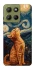 Чохол на Motorola Moto G15 4G van gogh cat фото 1 з 1