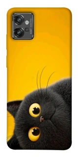 Чохол на Motorola Moto G32 This is Cat фото 1 з 1